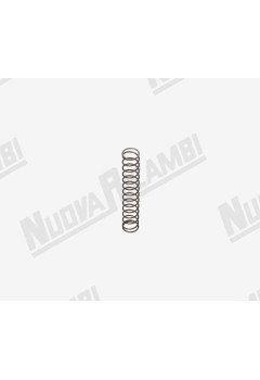 Пружина телескопічного темпера - для FAEMA MD2000- MD3000/ CASADIO THEO/ CIMBALI MAGNUM - MD75