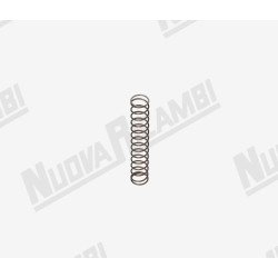 Пружина телескопічного темпера - для FAEMA MD2000- MD3000/ CASADIO THEO/ CIMBALI MAGNUM - MD75
