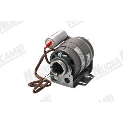 Двигун насоса з хомутом 208/240В - 50/60Гц - 150/180Вт - конденсатори 8мкФ Двигун насоса з хомутом 208/240В - 50/60Гц - 150/180Вт - конденсатори 8мкФ