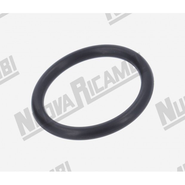Уплотнительное кольцо поршня рычажной группы "145/6162/R29 - VITON" - Ø 40,64x5,33мм - для CARIMALI Уплотнительное кольцо поршня рычажной группы 145/6162/R29 - VITON - Ø 40,64x5,33мм - для CARIMALI-703869/V