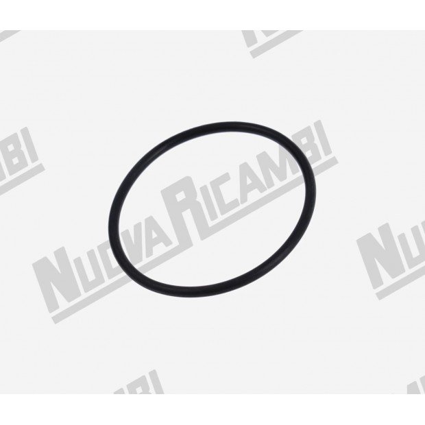 Уплотнительное кольцо рассекателя душа 3187 - EPDM - Ø 47,29x2,62мм - для VICTORIA ARDUINO/ BRASILIA/ ELEKTRA/ SANREMO-705512